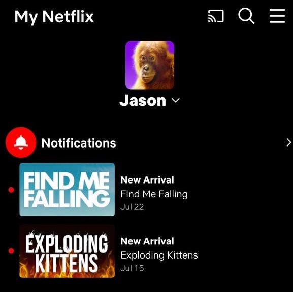 You get to use the owner Jason's netflix and disney plus account